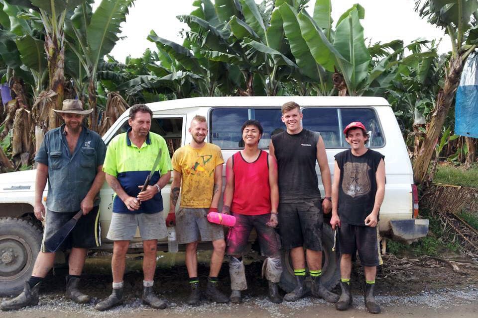 オーストラリアのワーホリはファームで働く。バナナのハンピングチームは英語ネイティブ集団