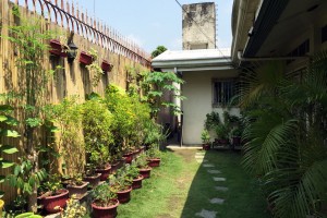 セブ留学で日本語禁止で有名なストーリーシェアのEOP校舎のお庭は緑でいっぱい
