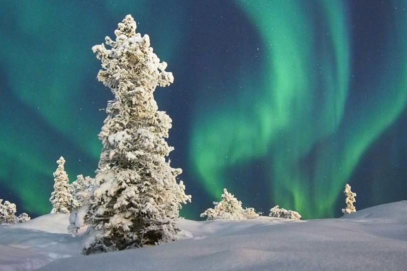 カナダの観光地イエローナイフの冬オーロラ。冬は雪がキレイ
