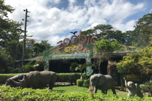 スービックの動物園（ズービックサファリ / Zoobic Safari）は週末旅行の定番