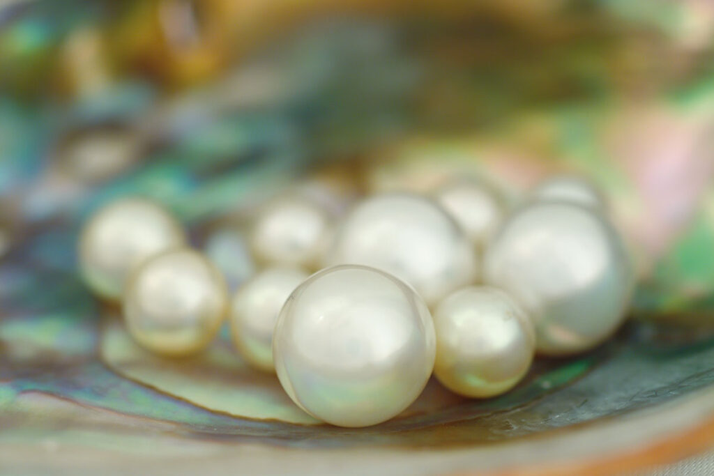ダバオの海で真珠が取れる