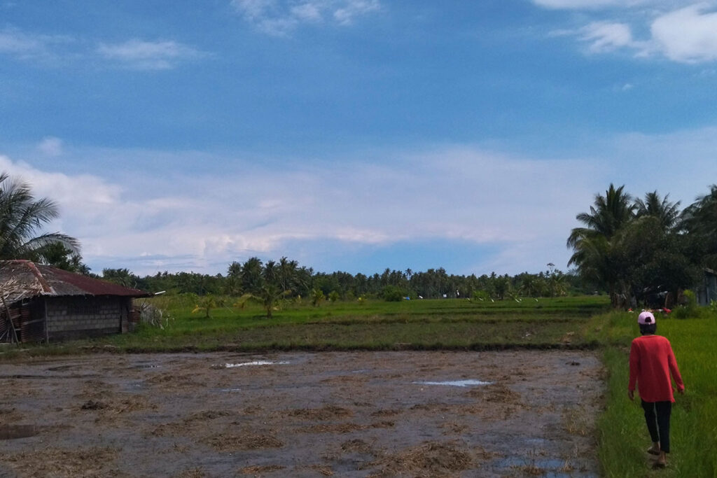 フィリピンの農村