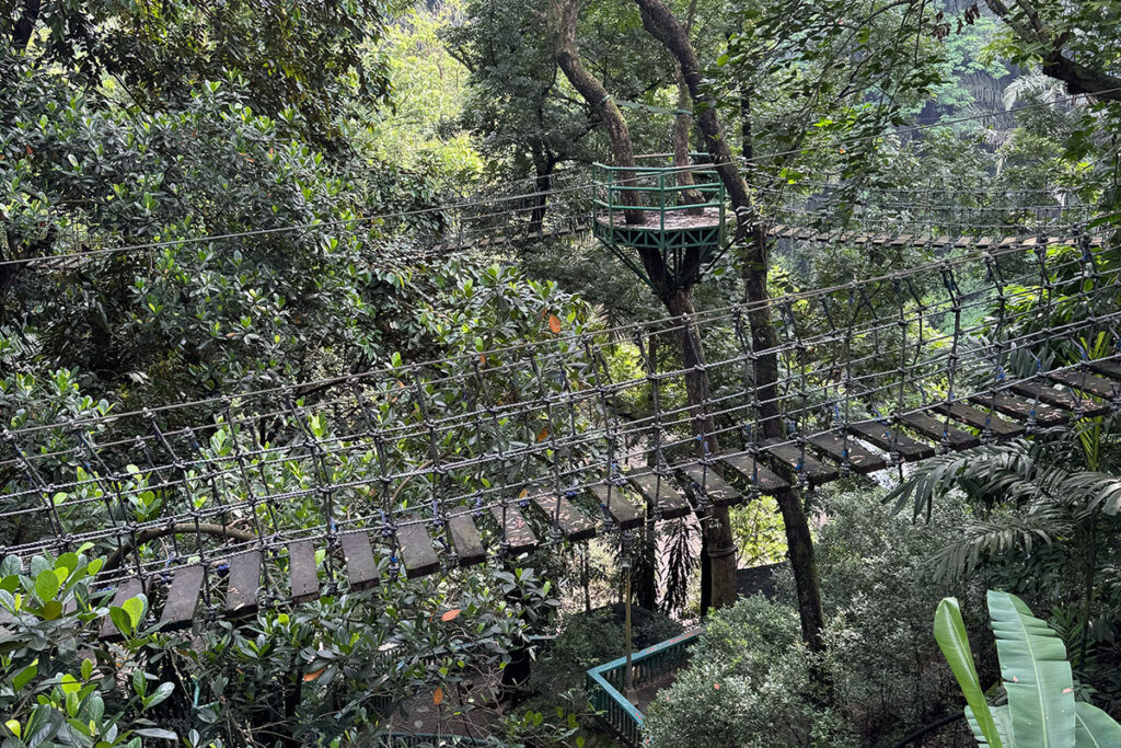 キャノピーウォーク(Canopy Walk)は吊り橋